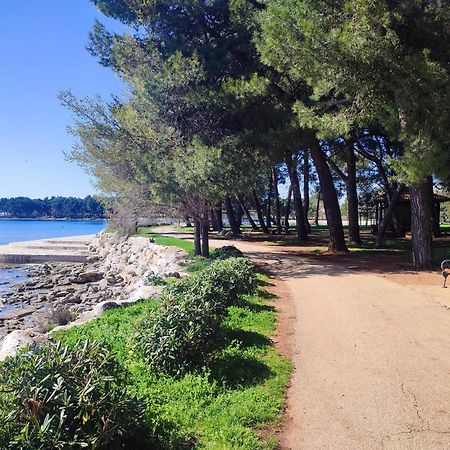 Apartments Novigrad Novigrad Istria Eksteriør billede