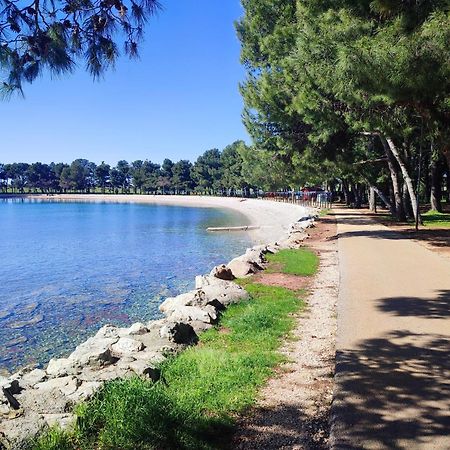 Apartments Novigrad Novigrad Istria Eksteriør billede