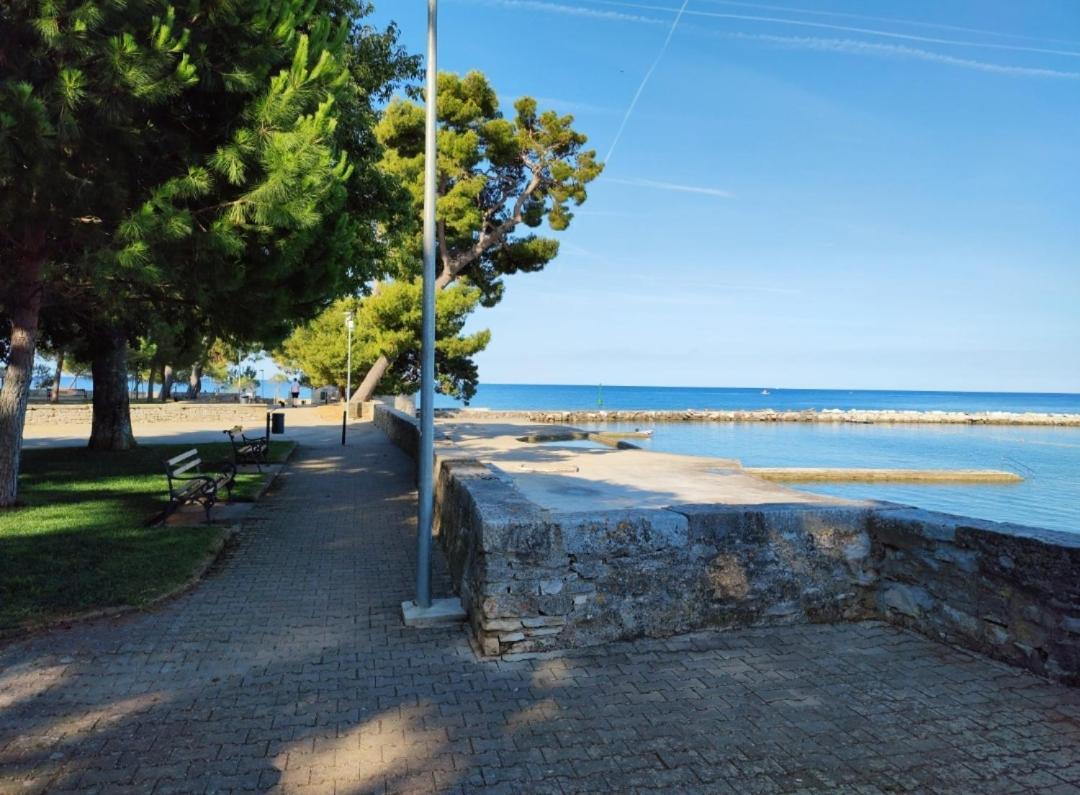 Apartments Novigrad Novigrad Istria Eksteriør billede